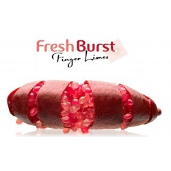 Price: âŹ5.95 - Finger Lime frön -