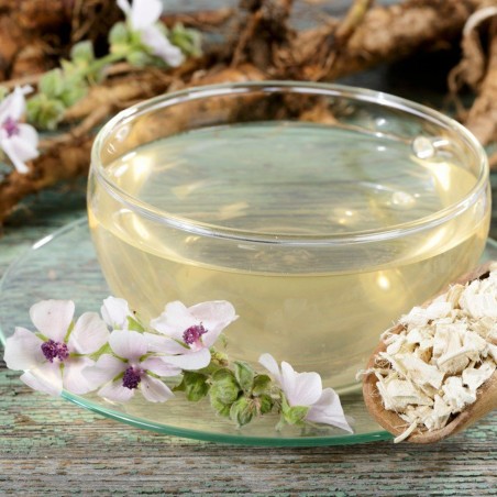 Beli slez seme (Althaea officinalis)
