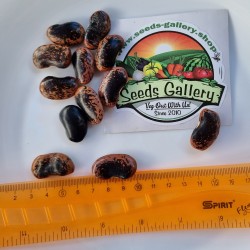 Price: €2.45 - Semillas De Frijol Fassolia Gigantes - Elefantes Kastorias - 
