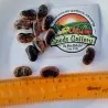 Fassolia Gigantes - Elefantes Kastorias Beans Seeds