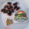 Fassolia Gigantes - Elefantes Kastorias Beans Seeds