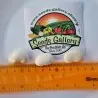 Fasolia Gigantes White Beans Seeds