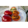 Price: €1.5 - Graines Tamarillo, Tomates en Arbre - 