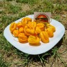 Price: €1.85 - Τσίλι Habanero κόκκινο, κίτρινο, πορτοκαλί σπόροι - Seeds Gallery