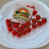 Price: €1.75 - Graines Tomate cerise BLUE ANGEL - 