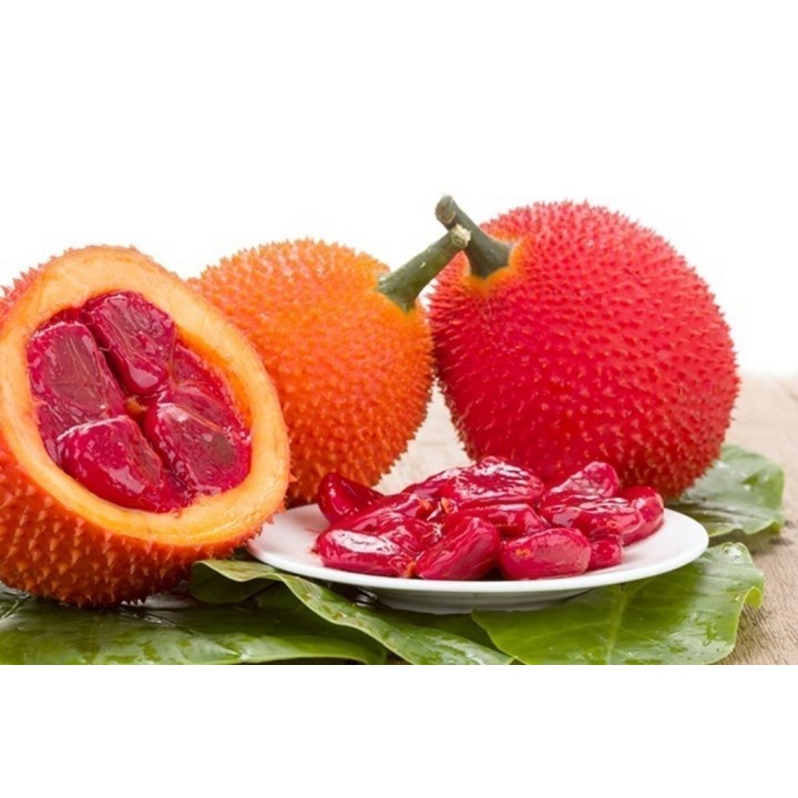 Gac Exotic Fruit Seeds (Momordica cochinchinensis) - 3.85