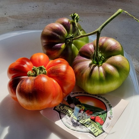 Price: €2.45 - Semințe de tomate Mar Azul - Seeds Gallery