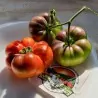 Mar Azul tomato seeds