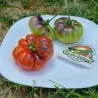 Mar Azul tomato seeds