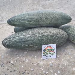 Price: €2.25 - Óriás örmény retikuláris Uborka dinnye mag - Seeds Gallery