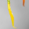 Price: €2.25 - Semi di peperoncino Aji Patillo (Capsicum pendulum) - 