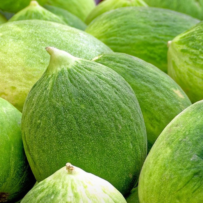 Price: €1.45 - Gurkenmelone Samen Carosello Barattiere - Seeds Gallery