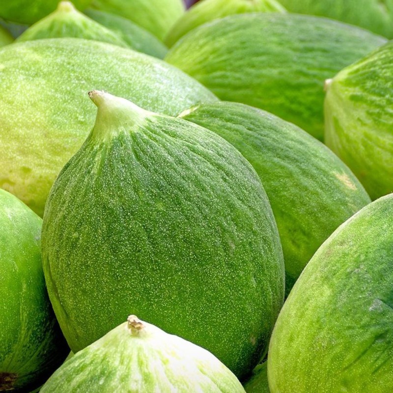 Seme krastavaca Carosello Barattiere