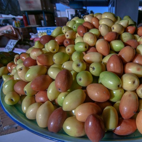 Semillas de Jujube Indio (Ziziphus mauritiana)