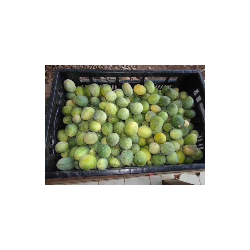 Price: €3 - Semi SURURUCA (Passiflora setacea) - Unbranded