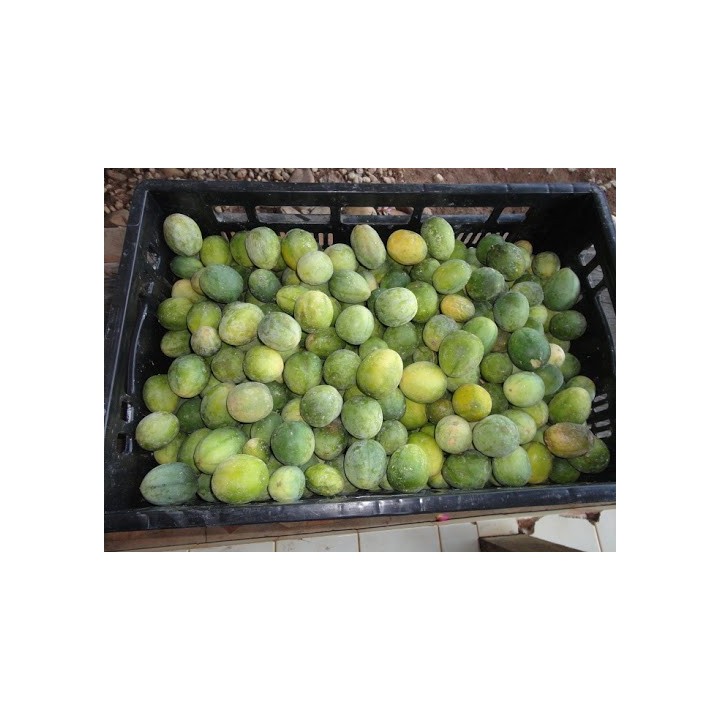 Nasiona SURURUCA (Passiflora setacea) - 2.7