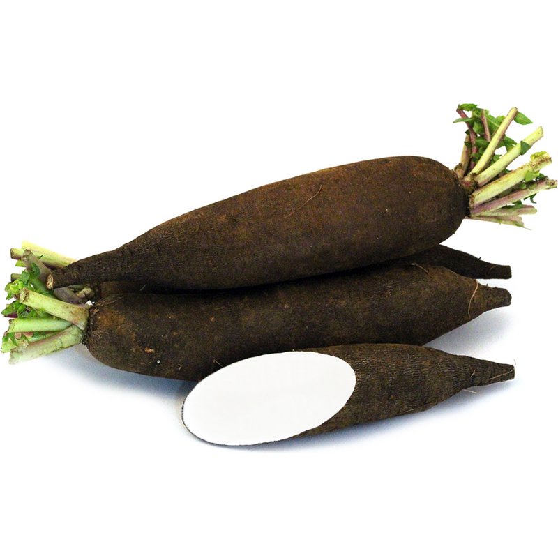 Price: €1.25 - Samen der Schwarzen Bergrüben - 