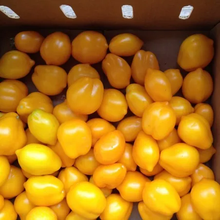 Citrontomatfrön (Lemon Plum)