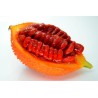 Σπόροι Gac Fruit (Momordica cochinchinensis)