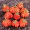 Tlacolula Ribbed Heirloom tomato Seeds