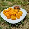 100 Graines de Piments Habanero jaune