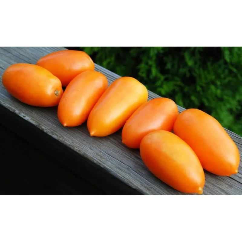 Semillas de Tomate Naranja Plátano