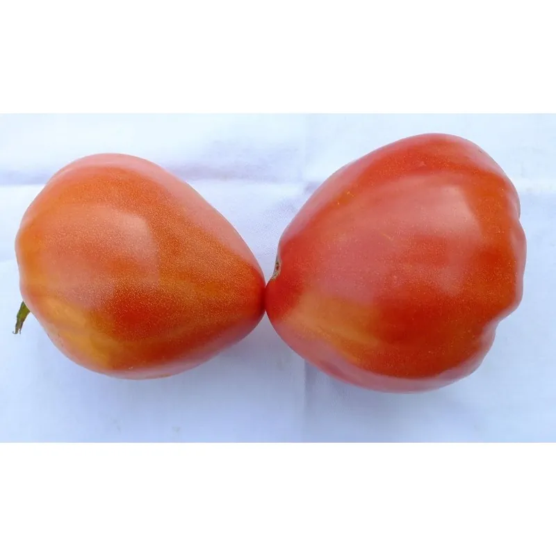 Semillas de tomate siberiano Corazón de Eagle
