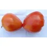 Semillas de tomate siberiano Corazón de Eagle