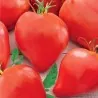 Semillas de tomate siberiano Corazón de Eagle