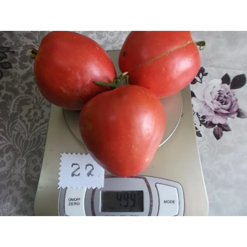 Semillas de tomate siberiano Corazón de Eagle