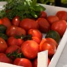 Price: €2.45 - Petrousa Drama Greek Beef Tomato Seeds - Seeds Gallery