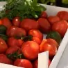 Semințe de roșii de vită grecească Petrousa Drama