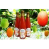 Gacfrucht, Gac Fruit, Baby Jackfrucht Samen
