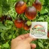 Semi di pomodoro Gargamella