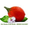 Semillas de Gac Fruit (Momordica cochinchinensis)