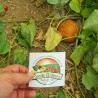 Price: €4.95 - Σπόροι Αρμενίων Πεπόνι Tigger - Seeds Gallery