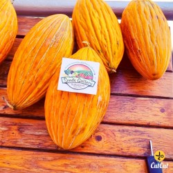 Price: €2.3 - Seme Grcke Dinje ARGITIKO - Seeds Gallery