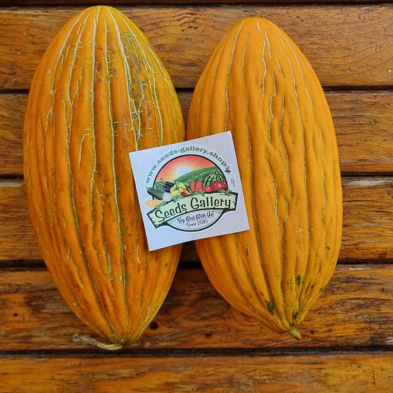 Price: €2.3 - Semillas de melón griega Argitiko - Seeds Gallery