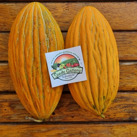 Price: €2.3 - ARGITIKO grekiska melon frön - Seeds Gallery