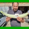 Graines de concombre Arménien | 3,95 €