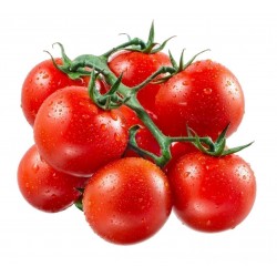Graines Tomate Cerise Rouge