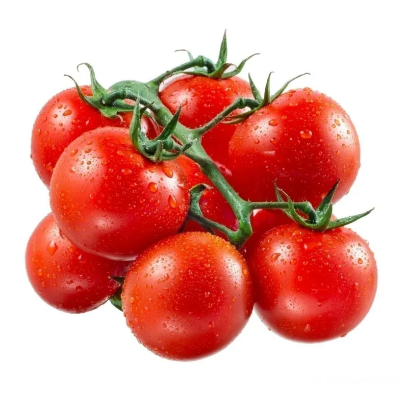 Graines Tomate Cerise Rouge