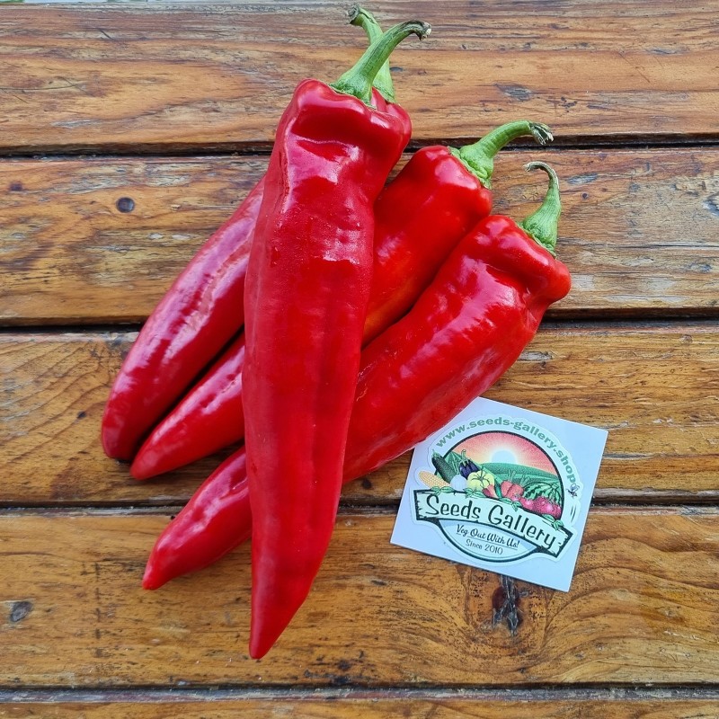 Price: €1.75 - Florinis Greece Sweet pepper Seeds - Seeds Gallery