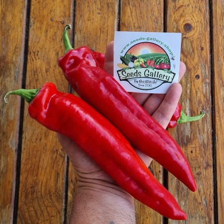 Price: €1.75 - Florinis Greece Sweet pepper Seeds - Seeds Gallery