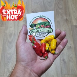 Nasiona chili Dragon Fire - 1.755