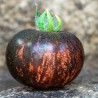 Price: €1.85 - Semi di pomodoro regina della notte - 