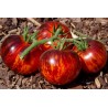 Price: €1.85 - Semi di pomodoro regina della notte - 