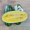 Semillas de sandía Plátano amarillo
