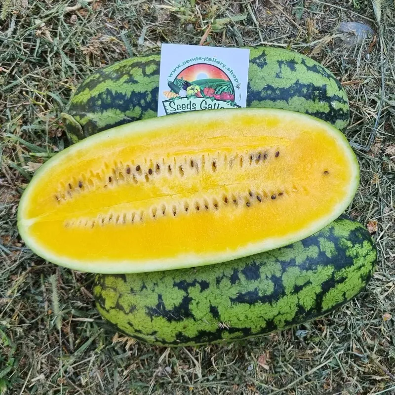Wassermelone Samen Gelbe Banane