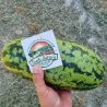 Graines de pastèque Banane jaune
